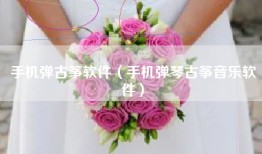 手机弹古筝软件（手机弹琴古筝音乐软件）