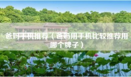 爸妈手机推荐（爸妈用手机比较推荐用哪个牌子）