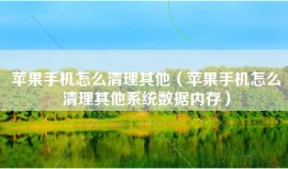 苹果手机怎么清理其他（苹果手机怎么清理其他系统数据内存）