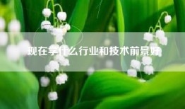 现在学什么行业和技术前景好