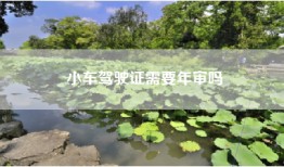 小车驾驶证需要年审吗