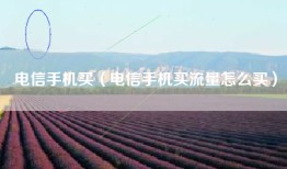 电信手机买（电信手机买流量怎么买）
