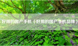 好用的国产手机（好用的国产手机品牌）
