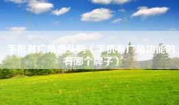 手机有广角镜头吗（手机有广角功能的有哪个牌子）