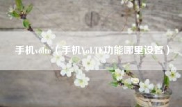 手机volte（手机VoLTE功能哪里设置）