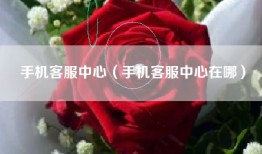 手机客服中心（手机客服中心在哪）
