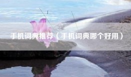 手机词典推荐（手机词典哪个好用）