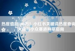 热度值超1100万！小红书关键词热度查询，大众与小众赛道种草指南