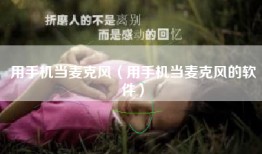 用手机当麦克风（用手机当麦克风的软件）