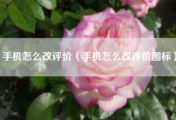 手机怎么改评价（手机怎么改评价图标）