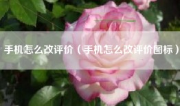 手机怎么改评价（手机怎么改评价图标）