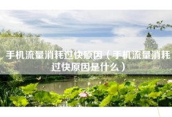 手机流量消耗过快原因（手机流量消耗过快原因是什么）