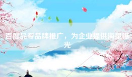 百度品专品牌推广，为企业提供海量曝光