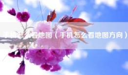 手机怎么看地图（手机怎么看地图方向）