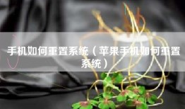 手机如何重置系统（苹果手机如何重置系统）