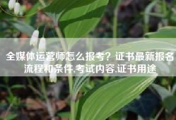 全媒体运营师怎么报考？证书最新报名流程和条件,考试内容,证书用途