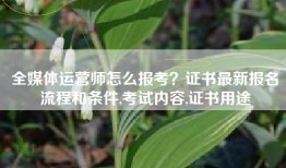 全媒体运营师怎么报考？证书最新报名流程和条件,考试内容,证书用途