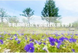 手机游戏社区（游戏社区哪个好）