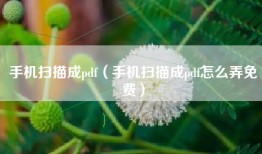 手机扫描成pdf（手机扫描成pdf怎么弄免费）