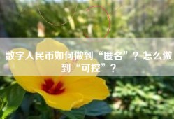 数字人民币如何做到“匿名”？怎么做到“可控”？