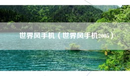 世界风手机（世界风手机2005）