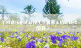 手机音乐格式转换（手机音乐格式转换mp3软件）