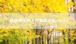 熊猫牌手机（熊猫牌手机GM958）