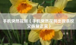 手机突然花屏（手机突然花屏出现条纹又恢复正常）