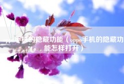 oppo手机的隐藏功能（oppo手机的隐藏功能怎样打开）