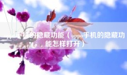 oppo手机的隐藏功能（oppo手机的隐藏功能怎样打开）