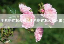 手机格式怎么写（手机格式怎么写出来）