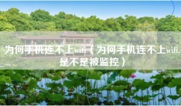 为何手机连不上wifi（为何手机连不上wifi,是不是被监控）