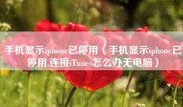 手机显示iphone已停用（手机显示iphone已停用,连接iTunes怎么办无电脑）