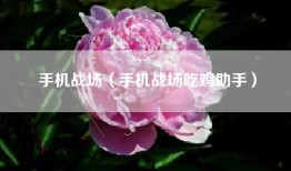 手机战场（手机战场吃鸡助手）