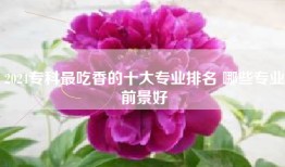 2024专科最吃香的十大专业排名 哪些专业前景好
