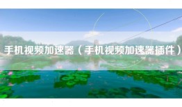 手机视频加速器（手机视频加速器插件）