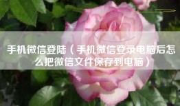 手机微信登陆（手机微信登录电脑后怎么把微信文件保存到电脑）