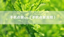 手机点餐app（手机点餐流程）