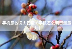 手机怎么调大音量（手机怎么调音量最大）