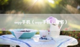 oopp手机（oopp手机云服务）