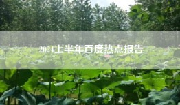 2024上半年百度热点报告