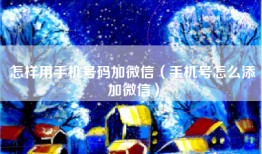 怎样用手机号码加微信（手机号怎么添加微信）