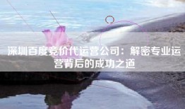 深圳百度竞价代运营公司：解密专业运营背后的成功之道