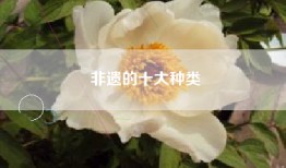 非遗的十大种类