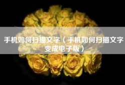 手机如何扫描文字（手机如何扫描文字变成电子版）