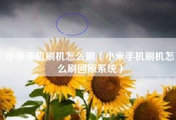 小米手机刷机怎么刷（小米手机刷机怎么刷回原系统）