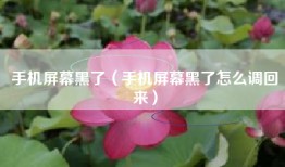 手机屏幕黑了（手机屏幕黑了怎么调回来）