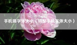 手机端字体大小（调整手机字体大小）