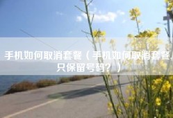 手机如何取消套餐（手机如何取消套餐,只保留号码？）