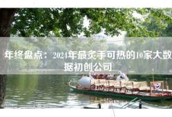 年终盘点：2024年最炙手可热的10家大数据初创公司